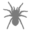 Casatarantula