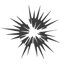 South Australian Film Corporation